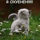 LeshKa_1