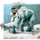 YETI