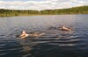Лосинка - Балашиха, открытие летнего купального сезона