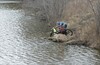 Покатушка до водопадов в д. Гилево и д. Шиши