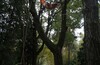 Осенний TREECLIMBING с клубом "ВЕЛОДОРОЖНЫЙ"