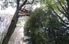 Осенний TREECLIMBING с клубом "ВЕЛОДОРОЖНЫЙ"