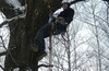 Зимняя TreeClimbing вылазка в ЛО