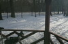 За окном весна,а в Кузьминках еще зима