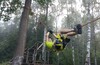 TREECLIMBING в МАЛИНО (рядом с Зеленоградом)