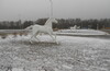 Покатушка Жуковский — Подольск.