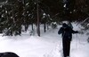 Бакшевская масляница на лыжах