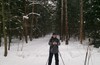 Лыжная прогулка в Мытищах Пироговского лесопарка