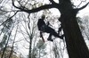 И снова TREECLIMBING в Лосином острове