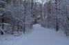 NIGHT SKIING.ОТКРЫТИЕ СЕЗОНА.ТРАССА ЛАЗУТИНОЙ