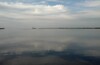 Оболонь - Киевское море и неизвесно куда еще занесет...