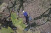 И снова TREECLIMBING в Лосином острове