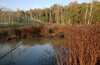 Autumn spotting at Domodedovo International Airport (DME/UUDD)