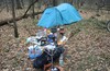 И снова TREECLIMBING в Лосином острове