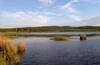 Озеро Здохня