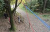 Осенний TREECLIMBING с клубом "ВЕЛОДОРОЖНЫЙ"