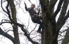 Внезапно TREECLIMBING в Малино!