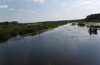 Малые реки Москвы #2.5 Верхняя Яуза