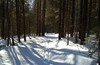 На лыжах к монастырю Смоленская Зосимова пустынь и Гремячему водопаду. От 15 км.