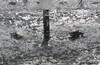 ФилПарк — Катание Питерского друга ч.3 .Поклонка-Крылатское-другой берег реки на ФилПарке (купацца)