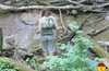 Кузьминки - Цариценский парк — гонять по Битцевскому парку