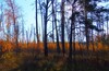 17.10.19 Середина Осени +19 едем созерцательно на Лохин 60 км