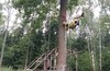 TREECLIMBING в МАЛИНО (рядом с Зеленоградом)