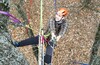 Внезапно TREECLIMBING в Малино!