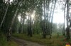 Камень на кругу Балаклавки и Севастопольского — Битцевский лес-МКАД-Бутовский лес.