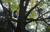 Осенний TREECLIMBING с клубом "ВЕЛОДОРОЖНЫЙ"