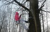 Зимняя TreeClimbing вылазка в ЛО