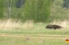 Курский вокзал — ст.Тарусская