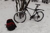СЗАО-САО-СВАО субботний утренний велооленинг со знакомством с белками