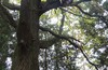 Осенний TREECLIMBING с клубом "ВЕЛОДОРОЖНЫЙ"