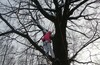 Зимняя TreeClimbing вылазка в ЛО