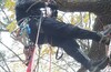 И снова TREECLIMBING в Лосином острове