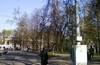 Сокольники  с чаем на Путяевских прудах.