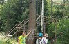 TREECLIMBING в МАЛИНО (рядом с Зеленоградом)