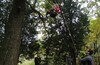 Осенний TREECLIMBING с клубом "ВЕЛОДОРОЖНЫЙ"