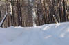 Лыжная прогулка Академ-Мичуринский-Чусовское озеро