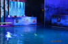 Спектакль на воде "Шоу олимпийских чемпионов"