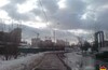 Бирюлевские новостройки(продолжение) — Бирюлевский дендропарк