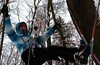 Лыжная TREECLIMBING вылазка в ЛО