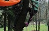 Осенний TREECLIMBING с клубом "ВЕЛОДОРОЖНЫЙ"