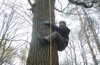 И снова TREECLIMBING в Лосином острове