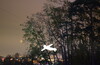 Парк света в Царицыно