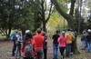 Осенний TREECLIMBING с клубом "ВЕЛОДОРОЖНЫЙ"