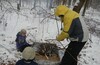 Зимняя TreeClimbing вылазка в ЛО