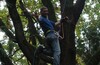 Осенний TREECLIMBING с клубом "ВЕЛОДОРОЖНЫЙ"