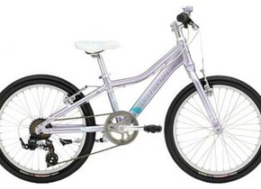 Велосипед Giant Areva 20
